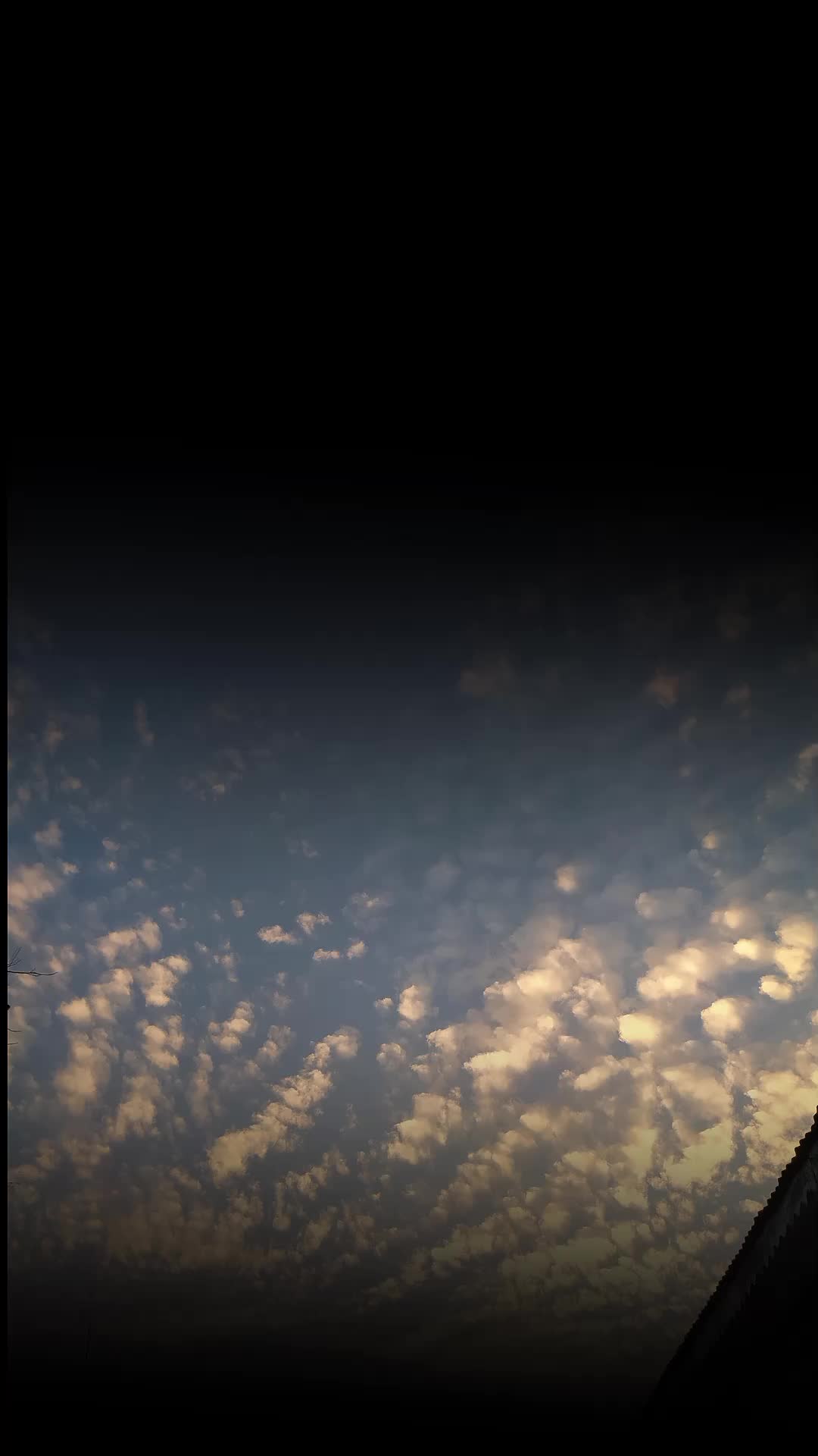 @Samiaعبّاسی