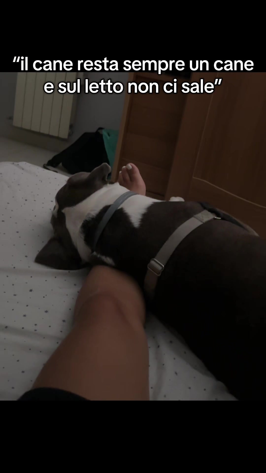 @RebbyChris+Romeo