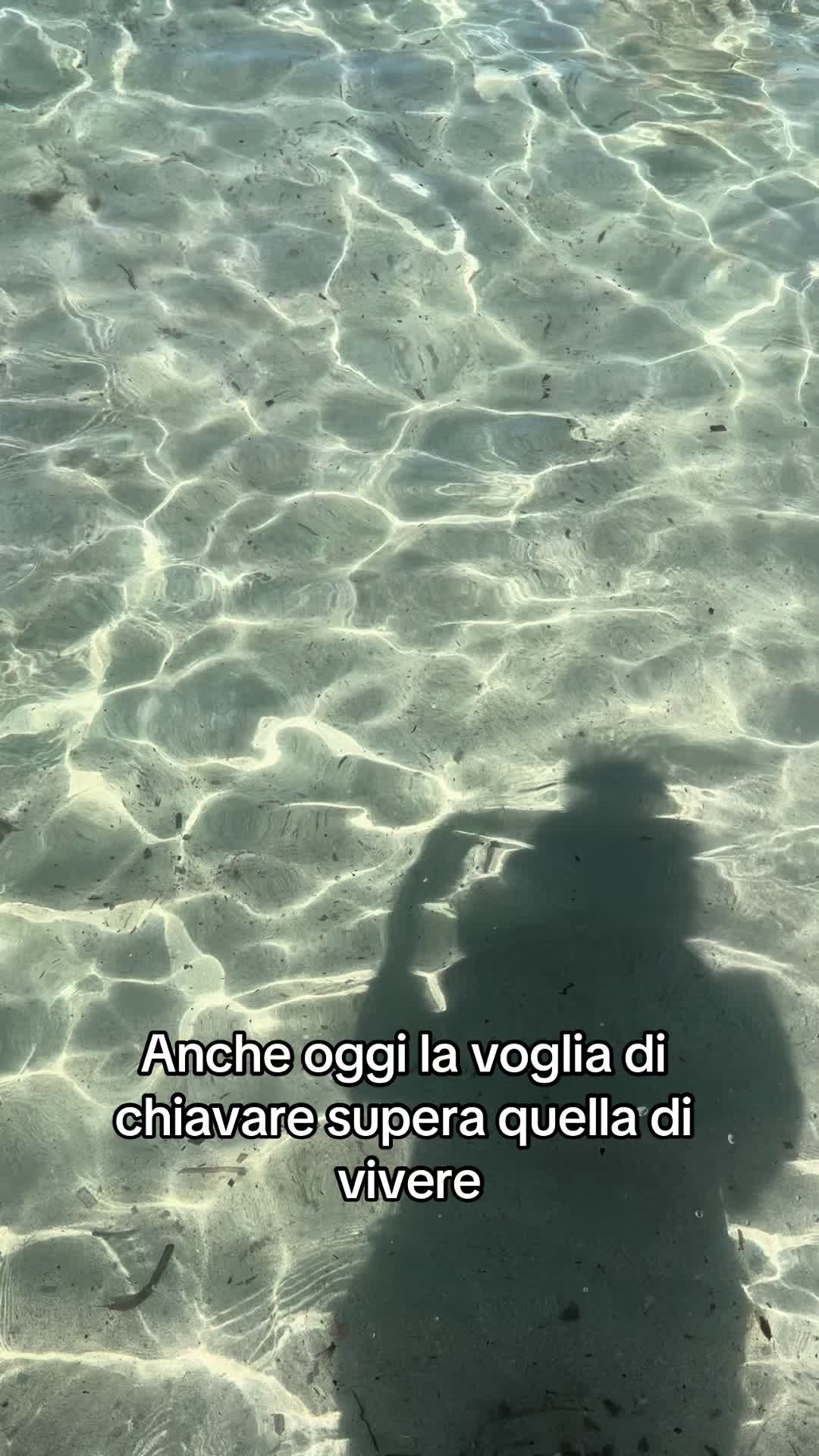 @Vanessa Villafiorita