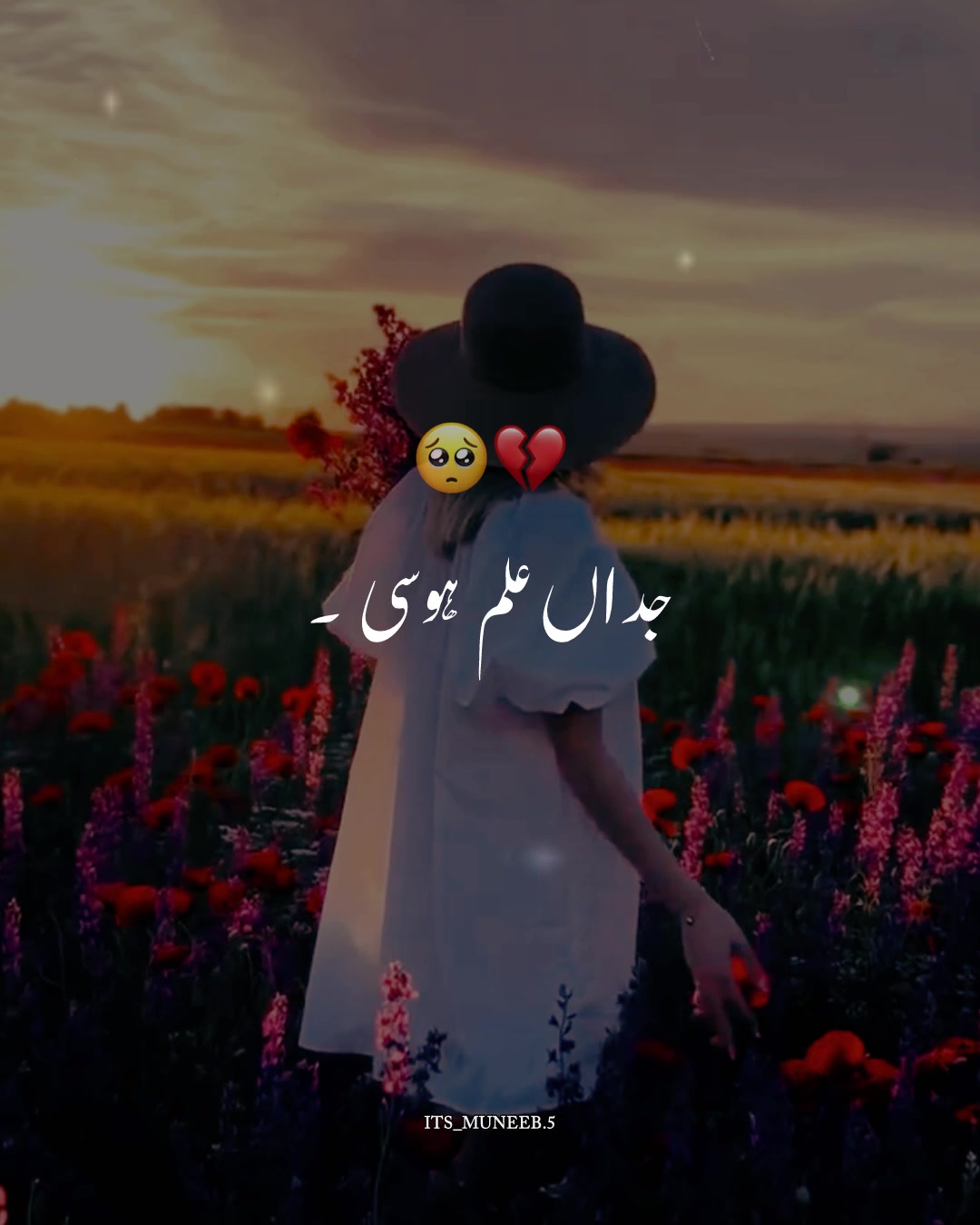 @Muneeb Jutt | Vibe Lyrics 🎧