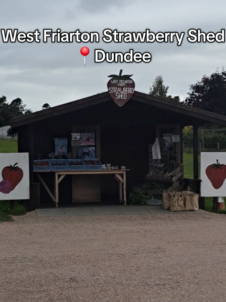 @dundeehalal