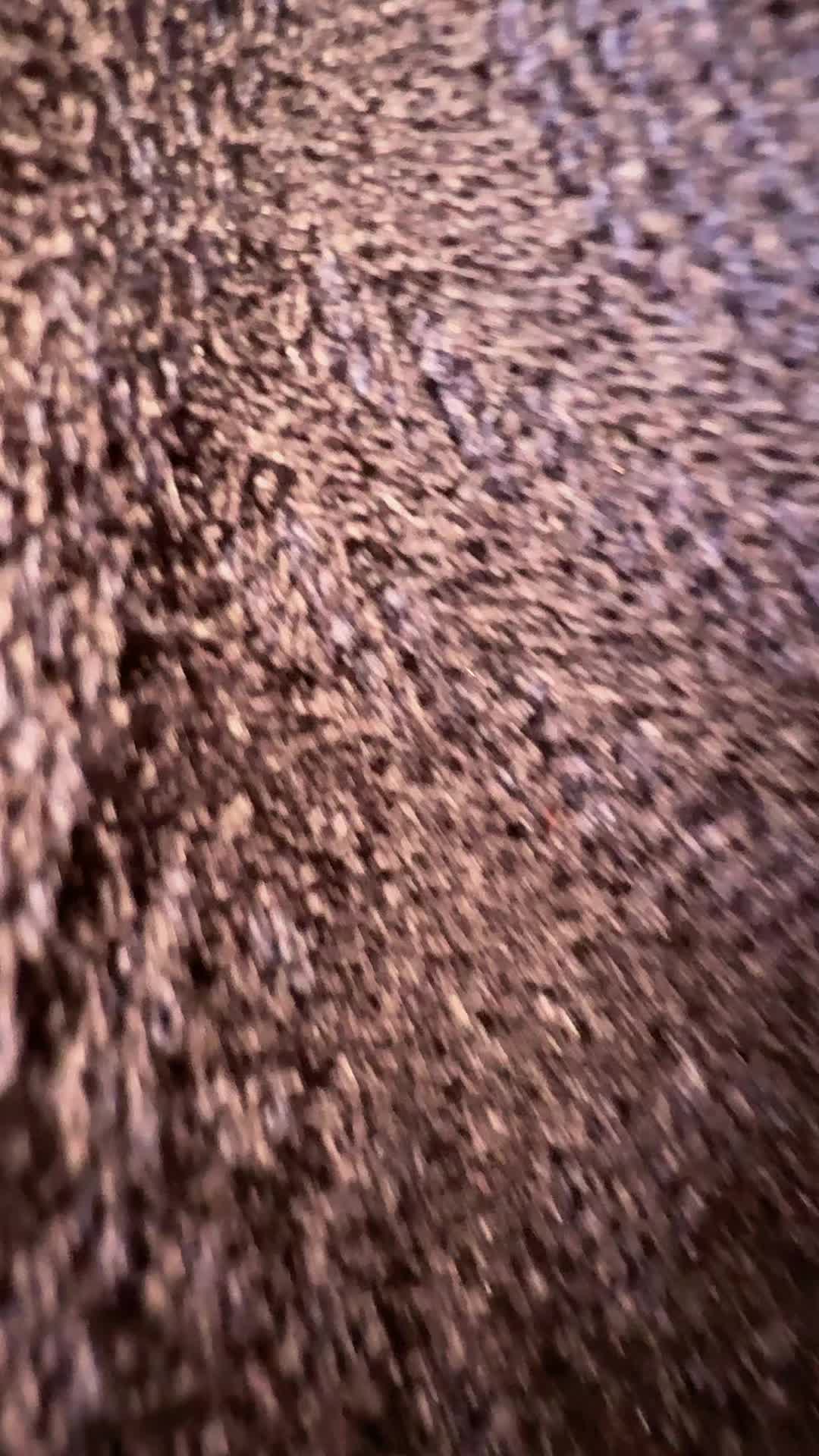 @guesswho