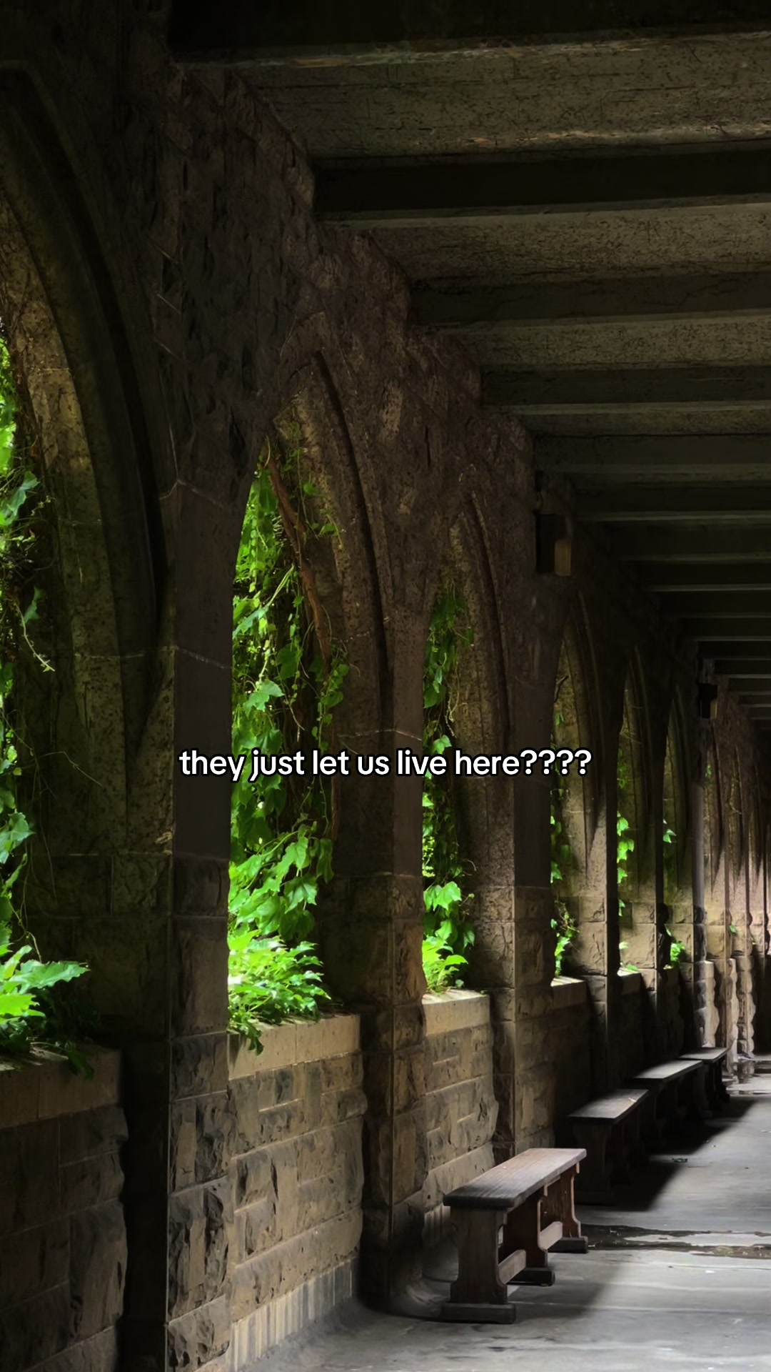 @OrmondCollege