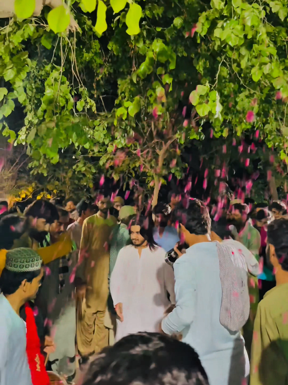 @Syed Abu Talib Shah