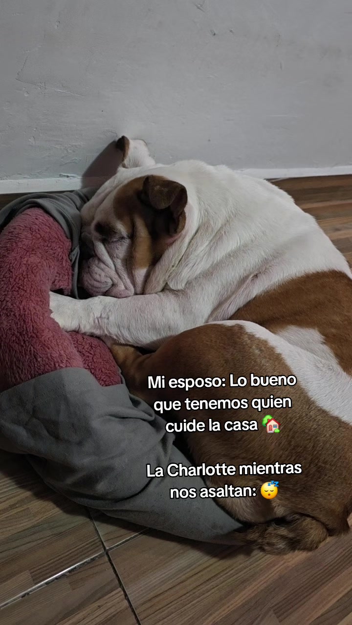 @ChiwaBull