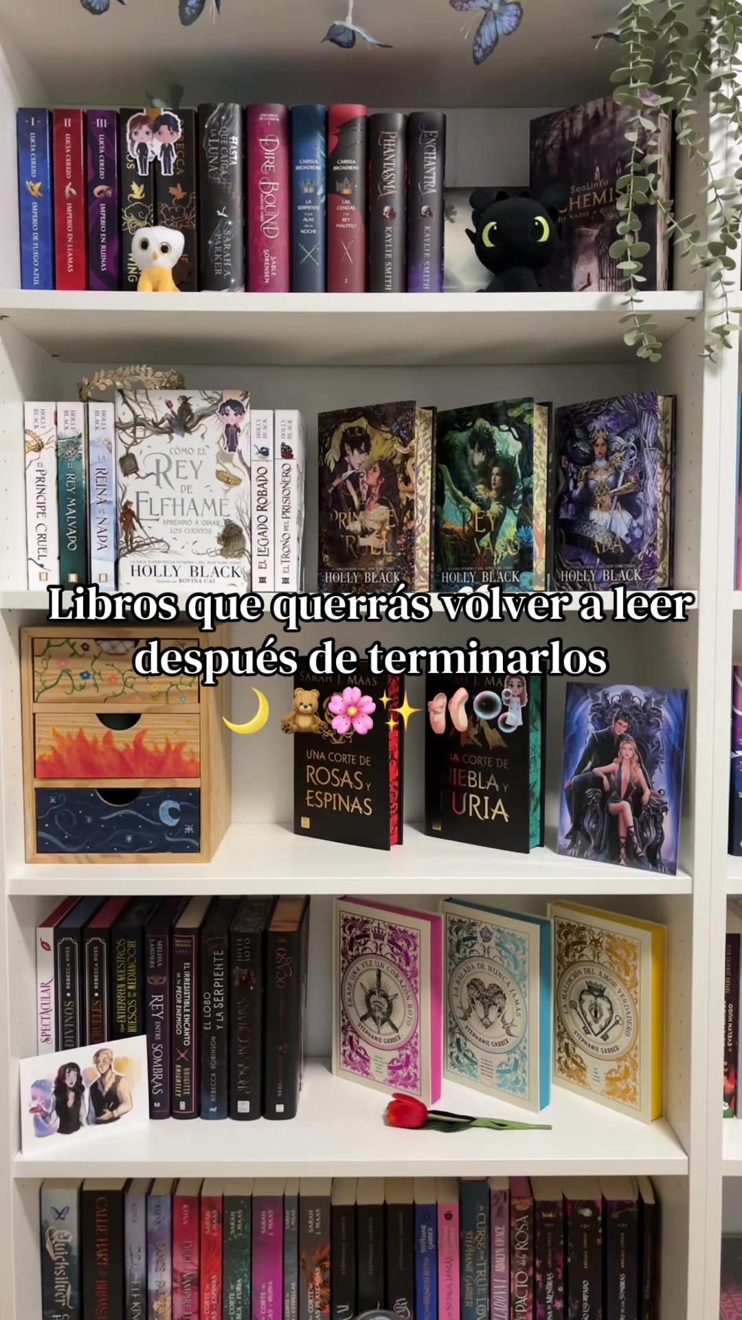 @Thedarkmoonbooks🌙✨
