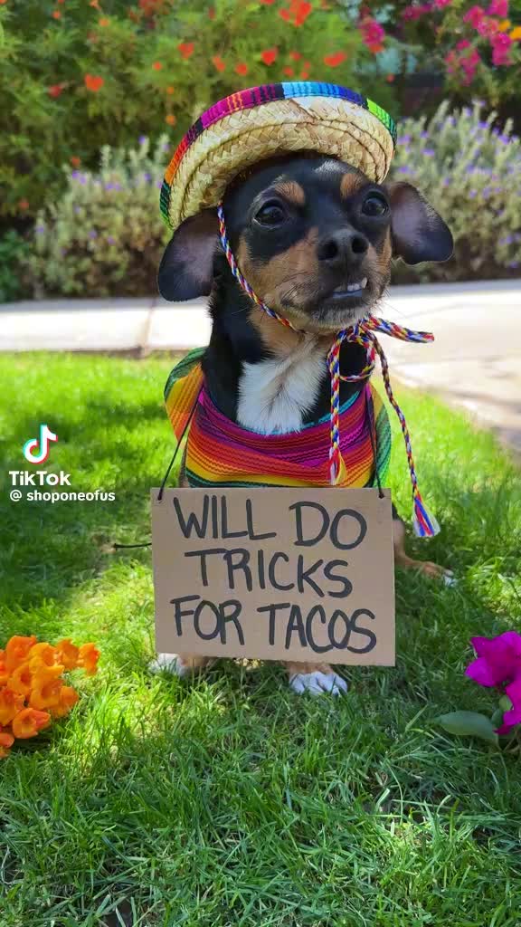 @Rj | Realtor T E X A S 🏳️&zwj;🌈