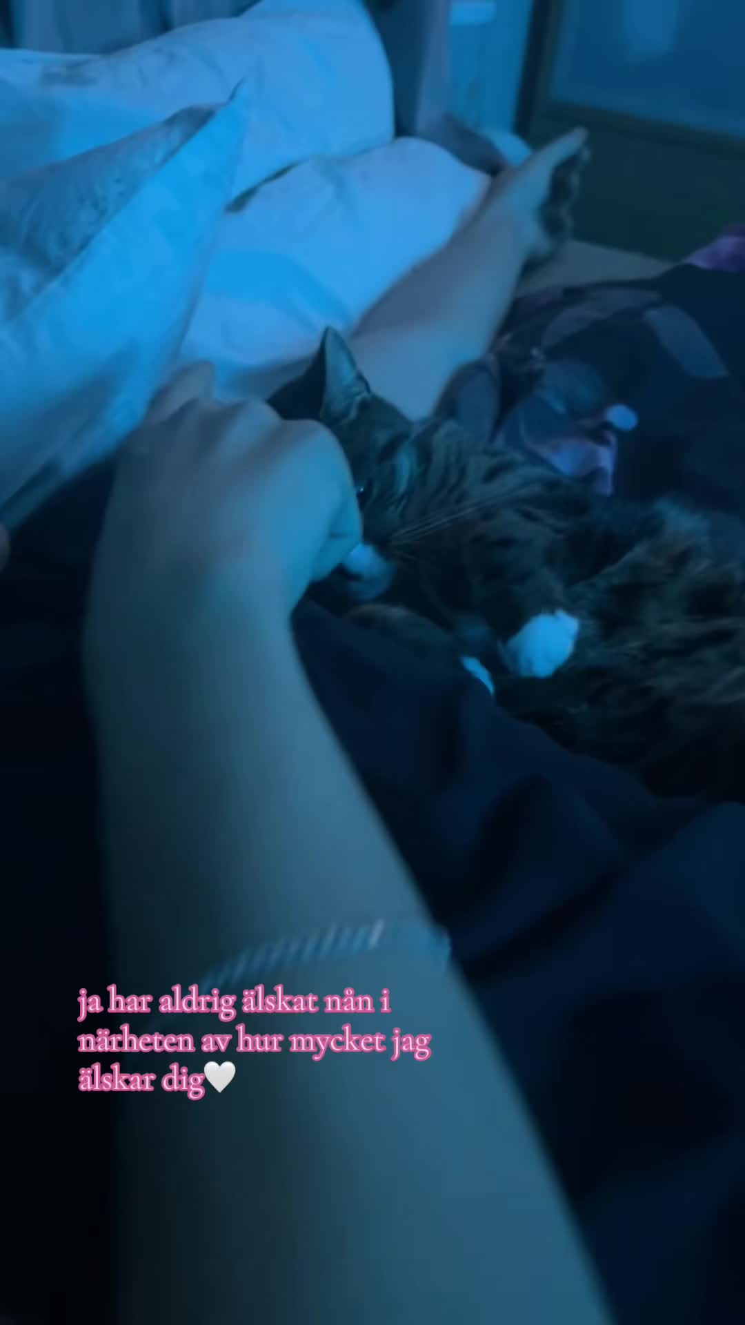 @ℬℯ𝓁𝓁𝒶💕