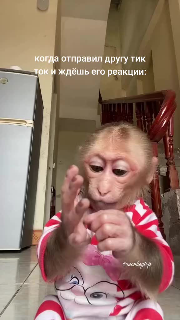 @promoting.babies