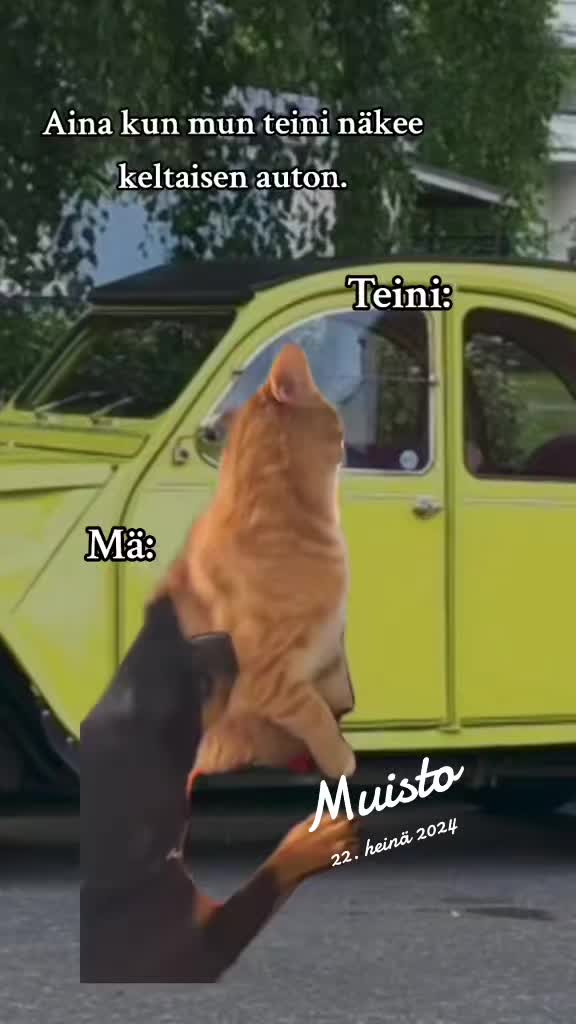 @Tanja🌹