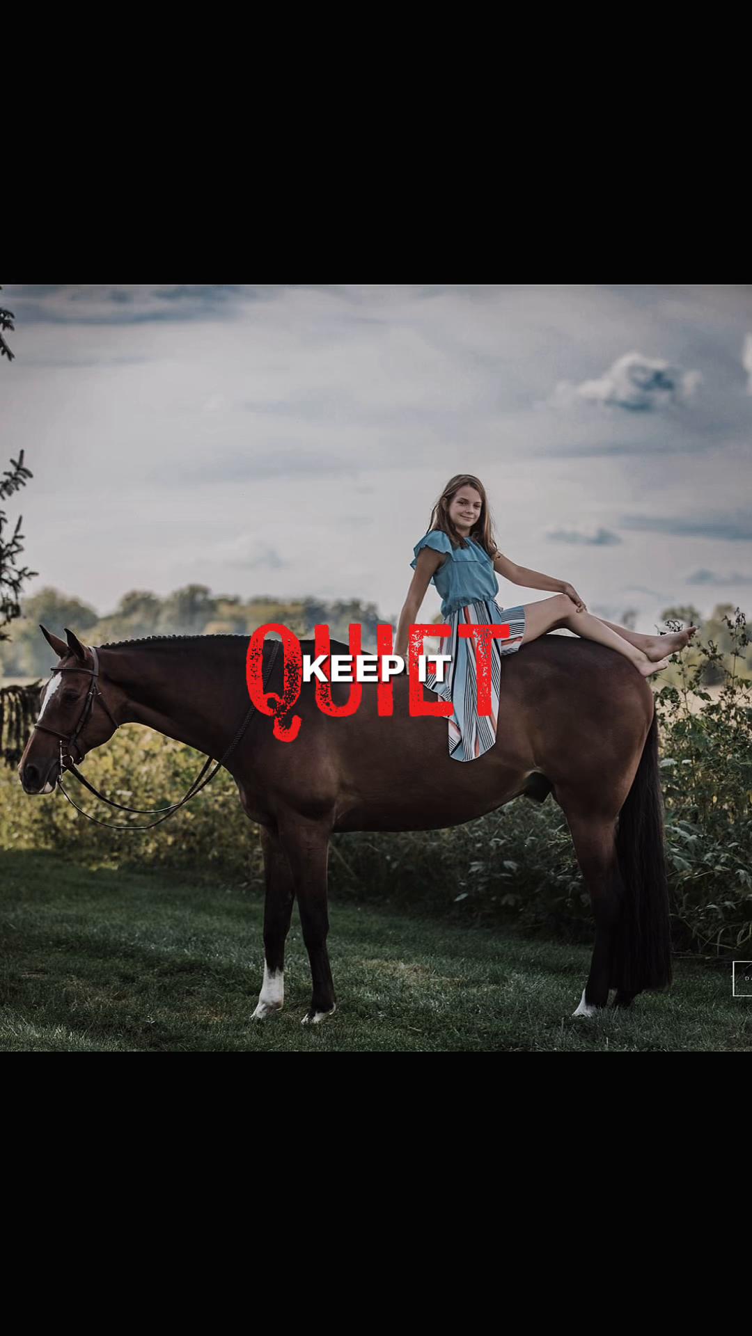 @JD Show Horses