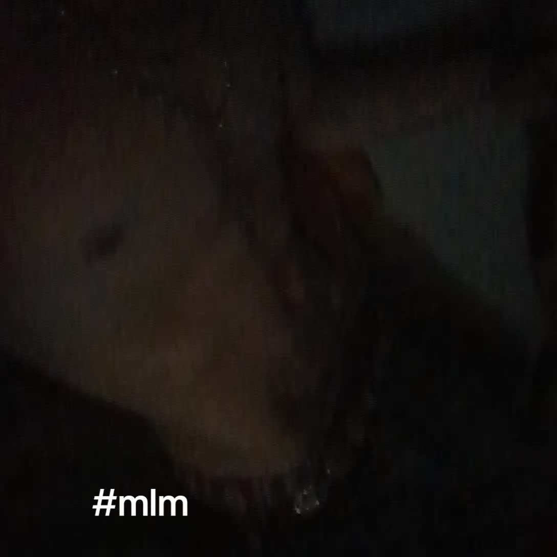 @FLAP_JACK