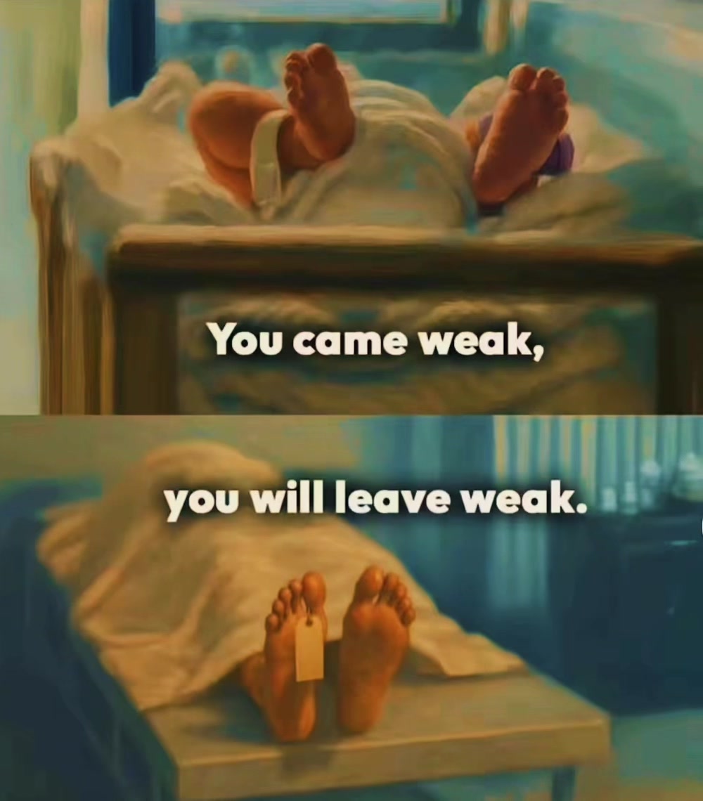 @Aminah khan