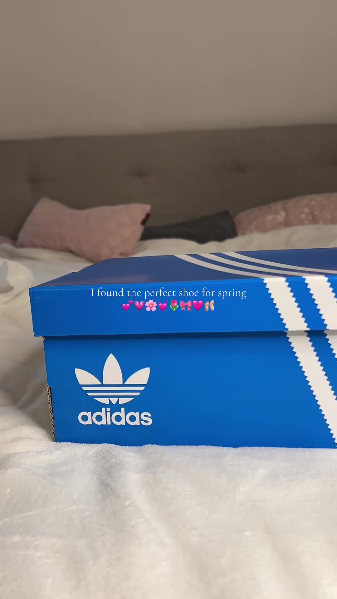 @alina