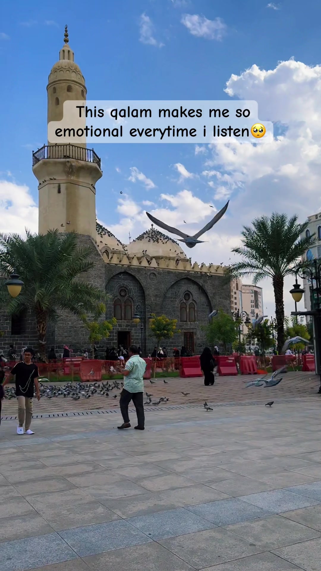 @Qurat-ul-ain (عینی) 🇸🇦🇵🇰