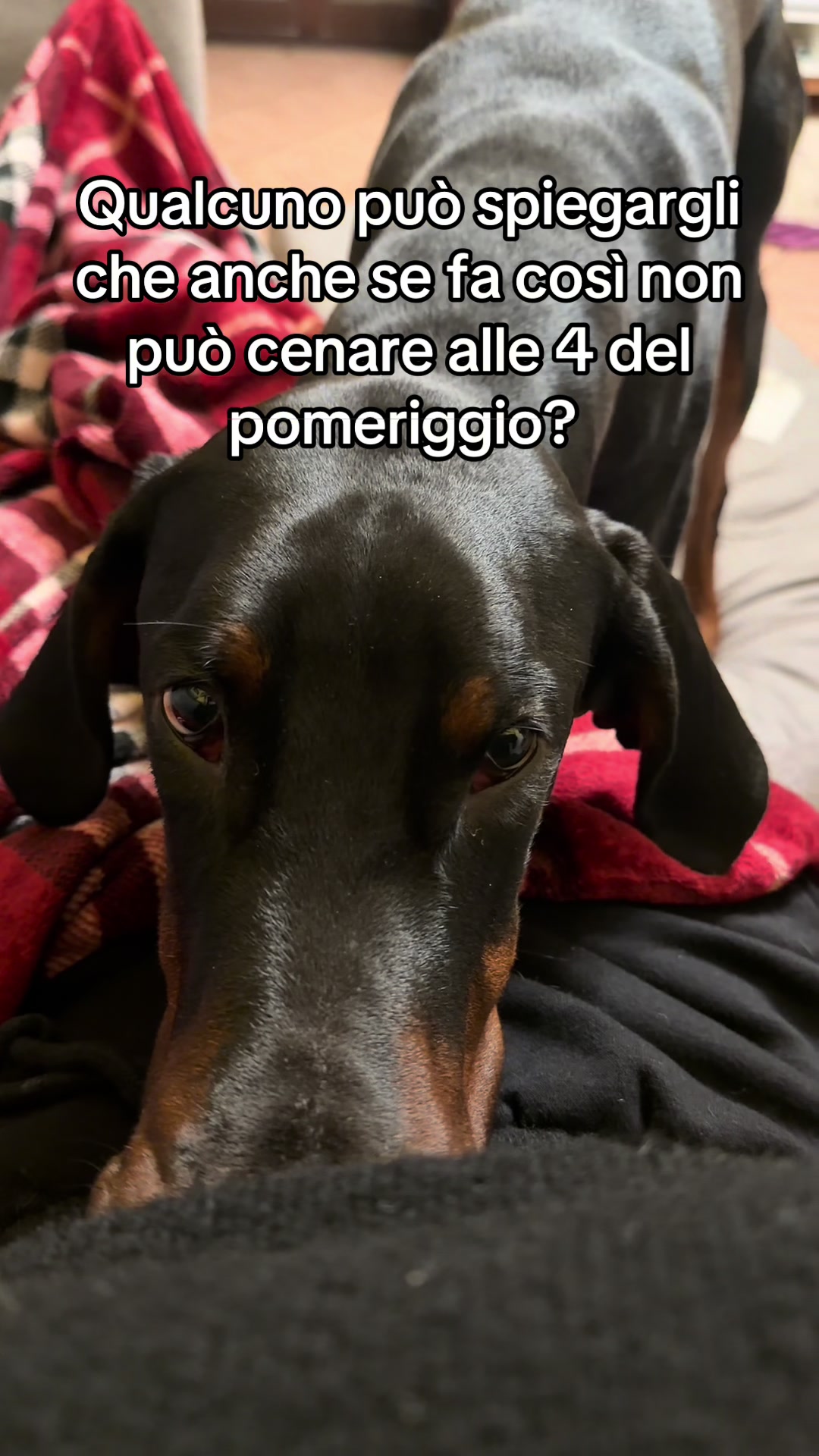 @MilaRizzello