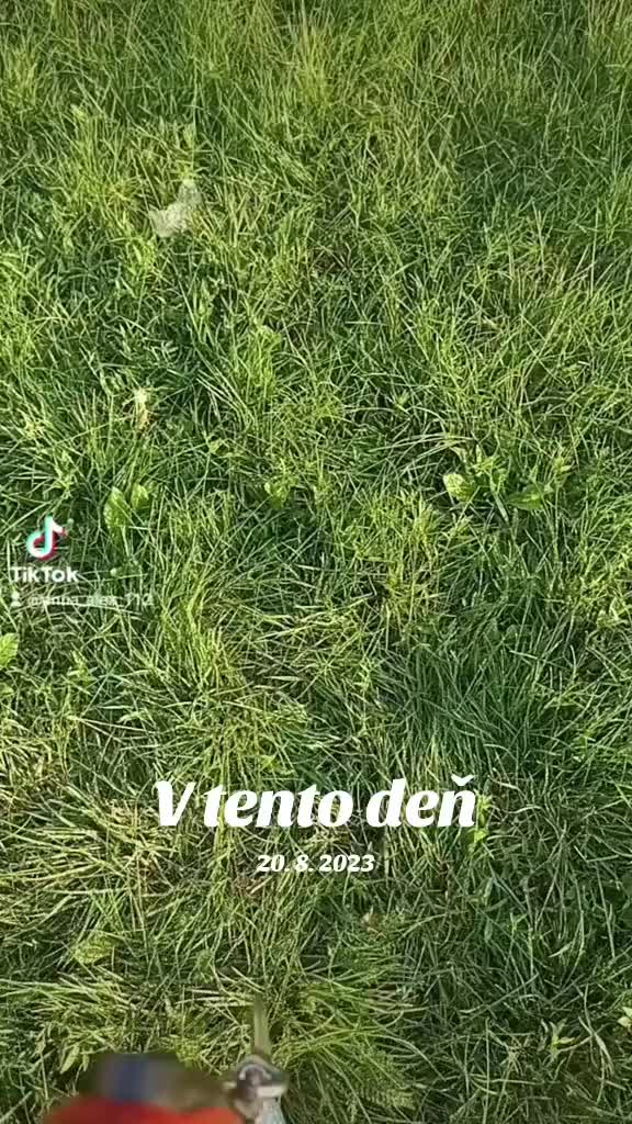 @Anna