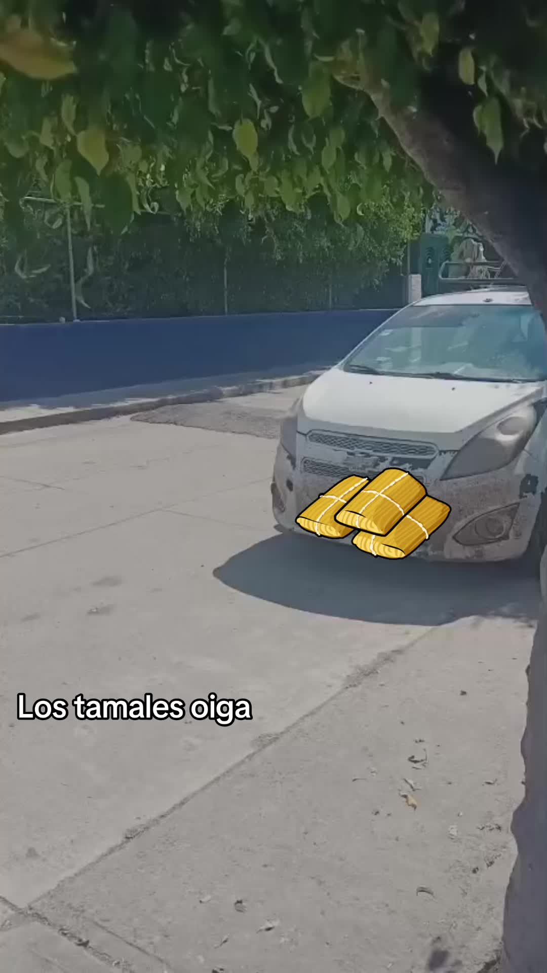 @antonysaavedra55