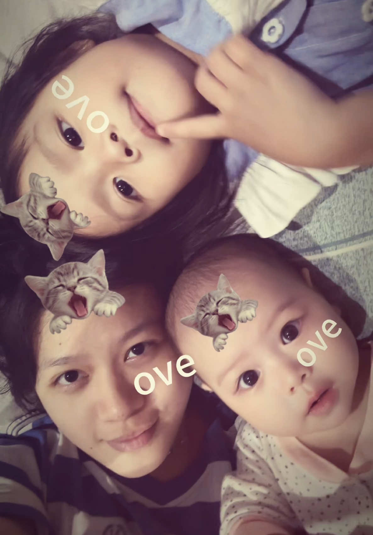 @viola noesy