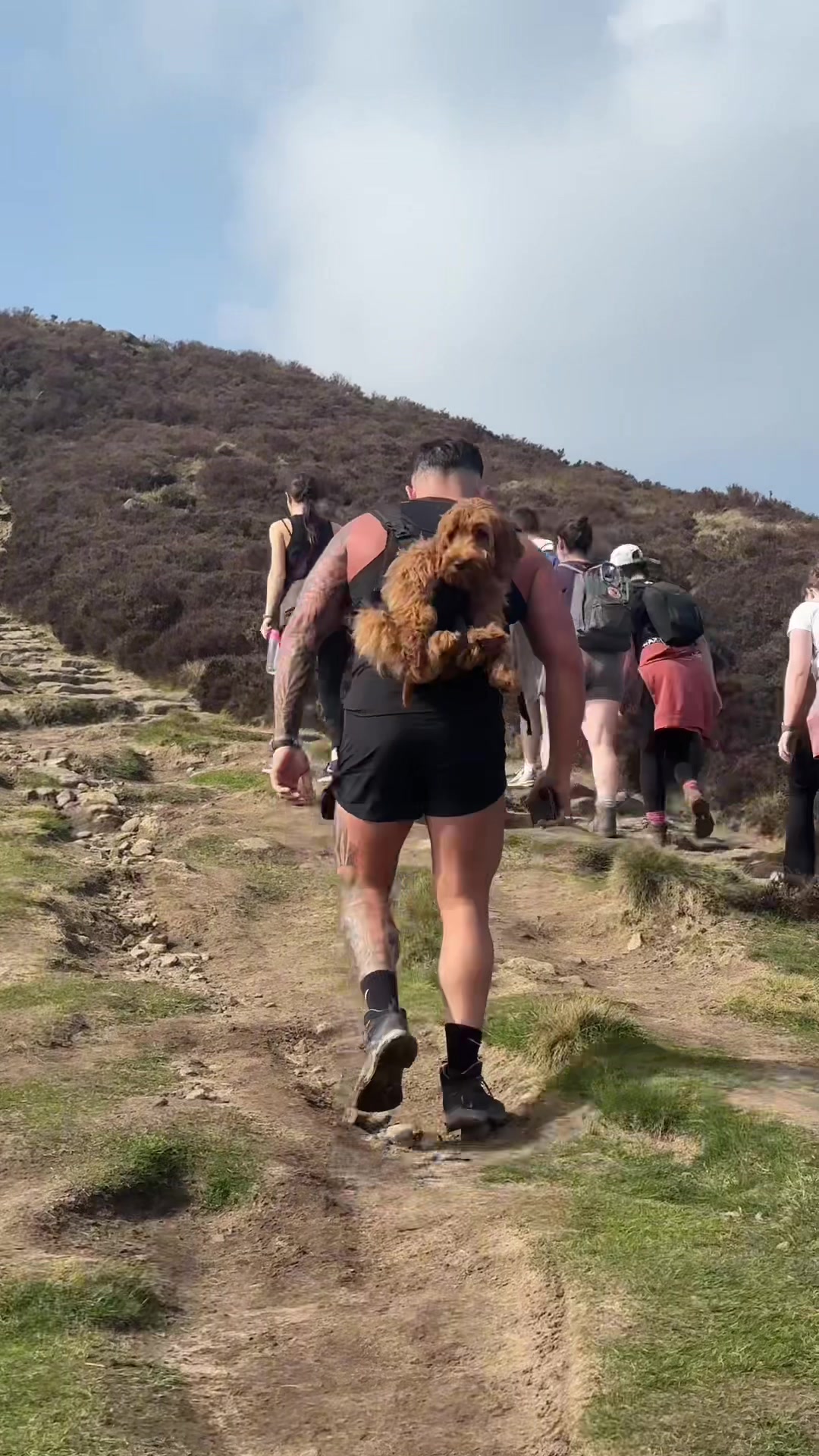@Oscar lamb