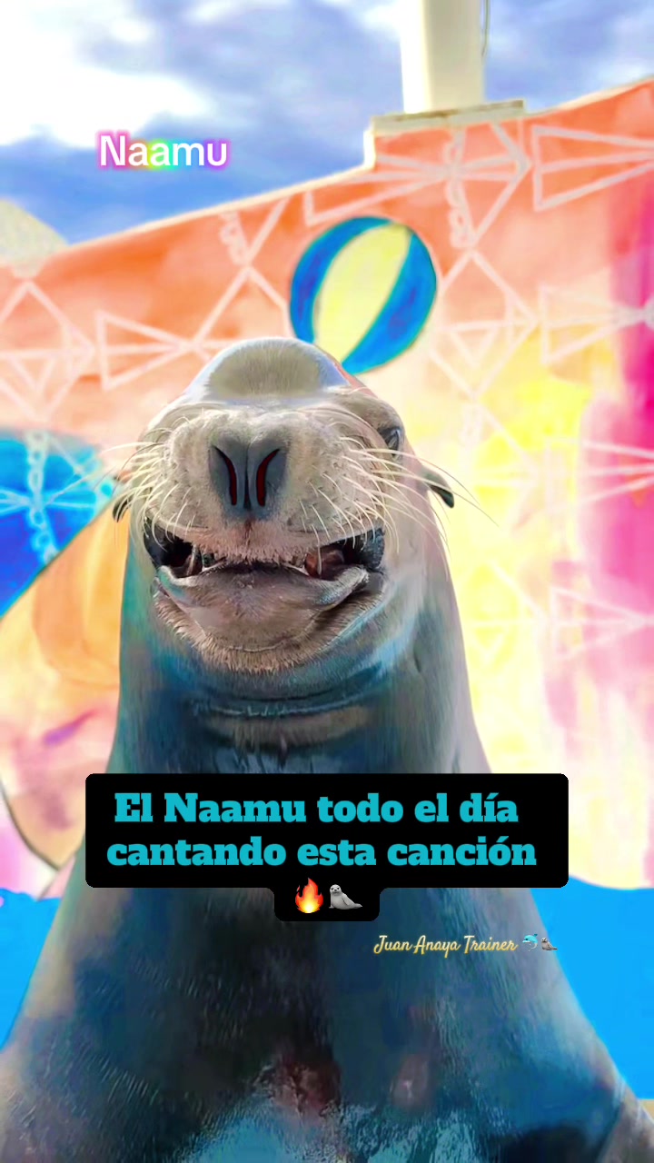 @Juan Anaya Trainer 🐬🦭