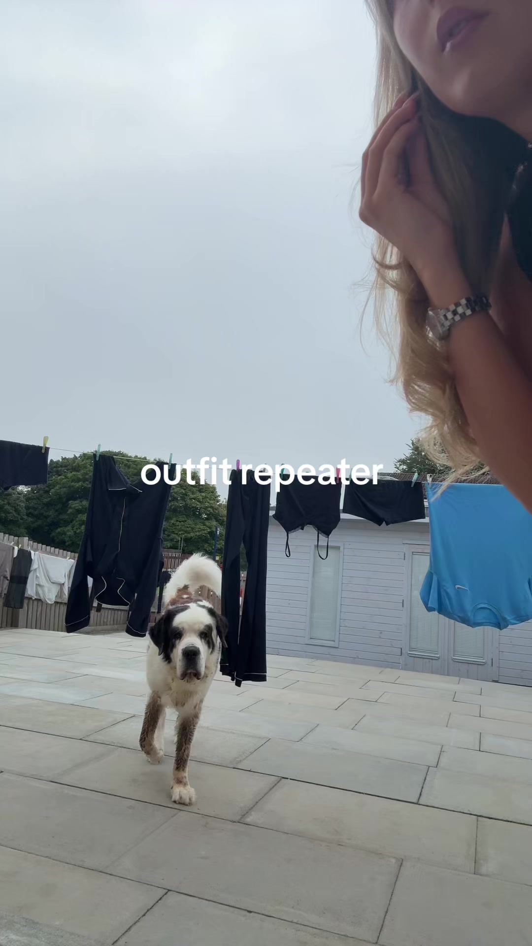 @familyguygirl222