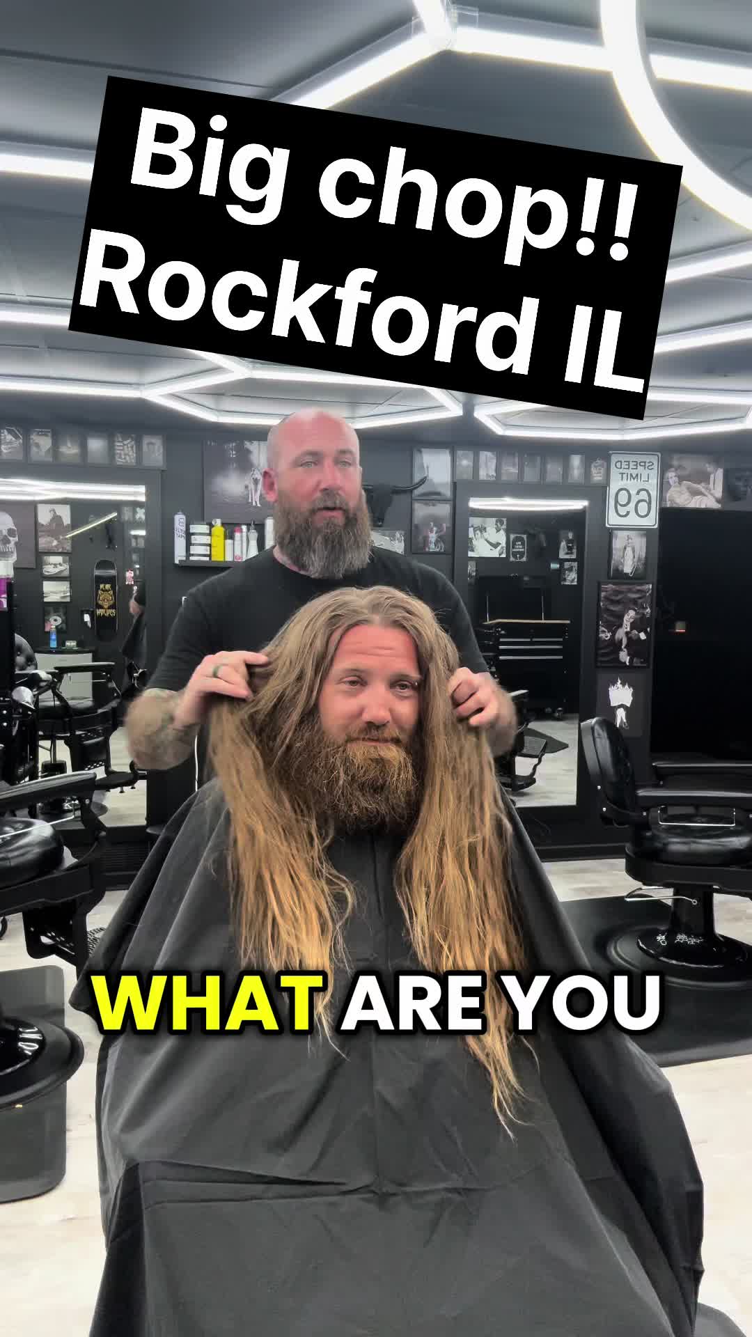 @wolfthebarber815