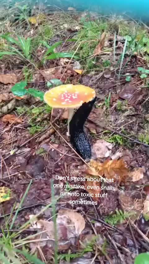 @Metelówna