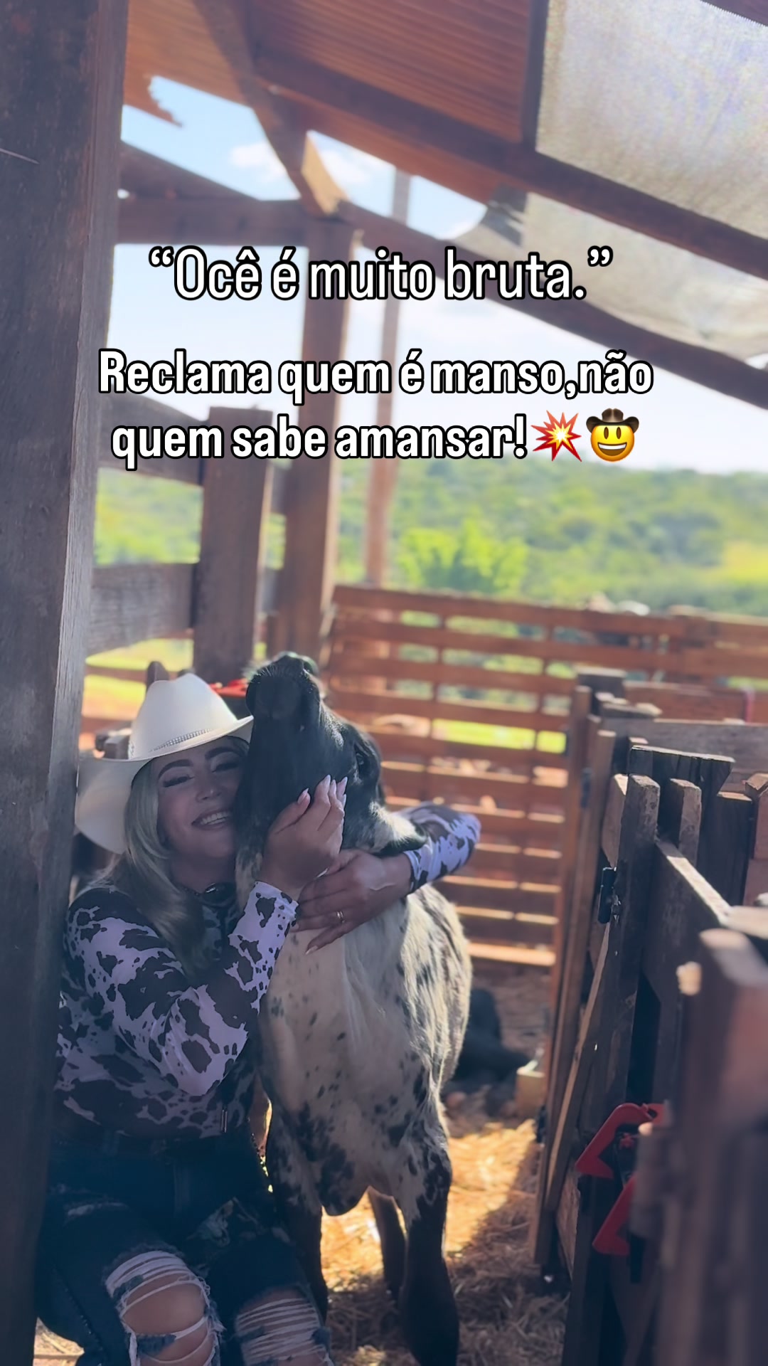 @Mariana_Fazendeira