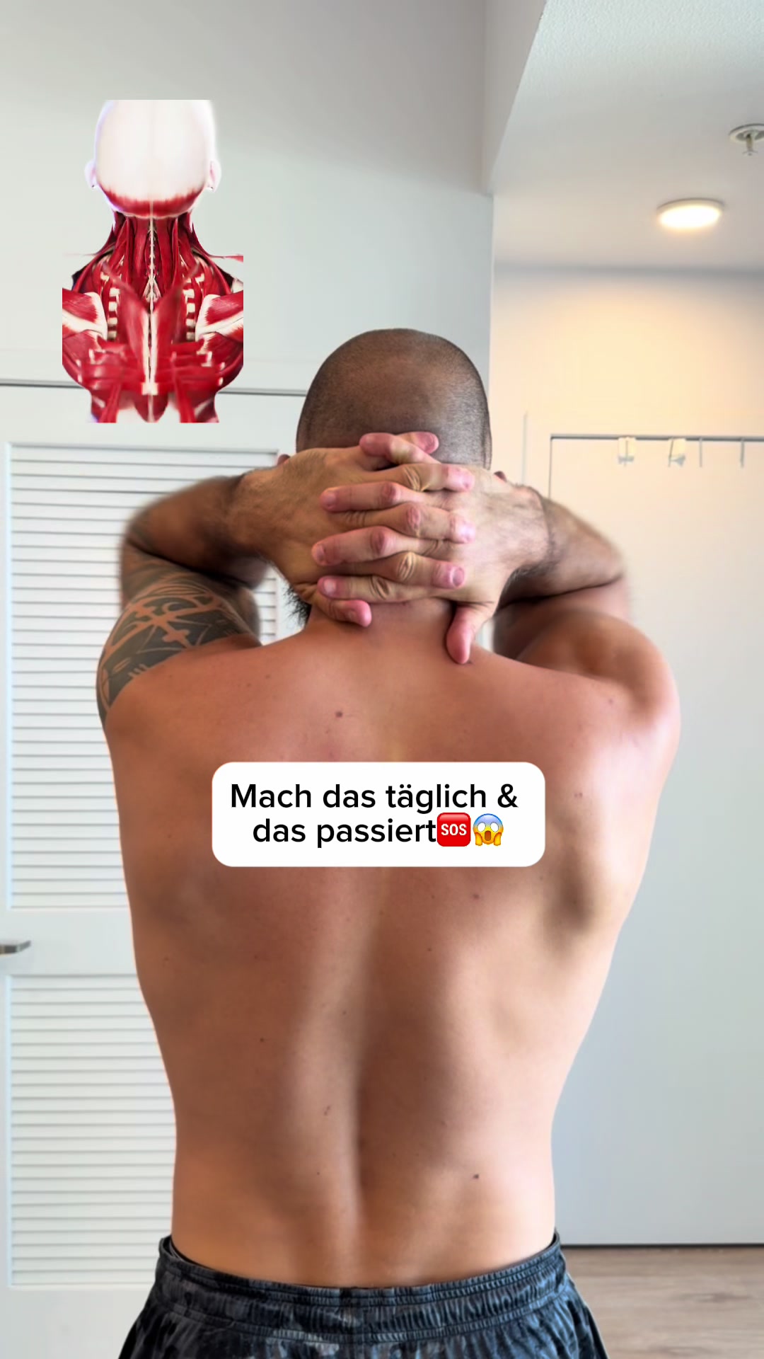 @Mr.High Level- Roll&rsquo;s weg
