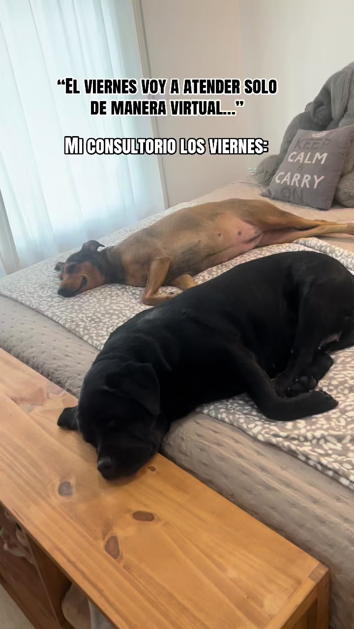 @Lic. Romina Mazzeo