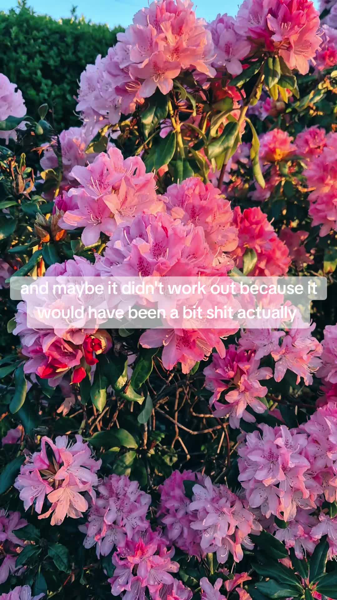 @Me & 3