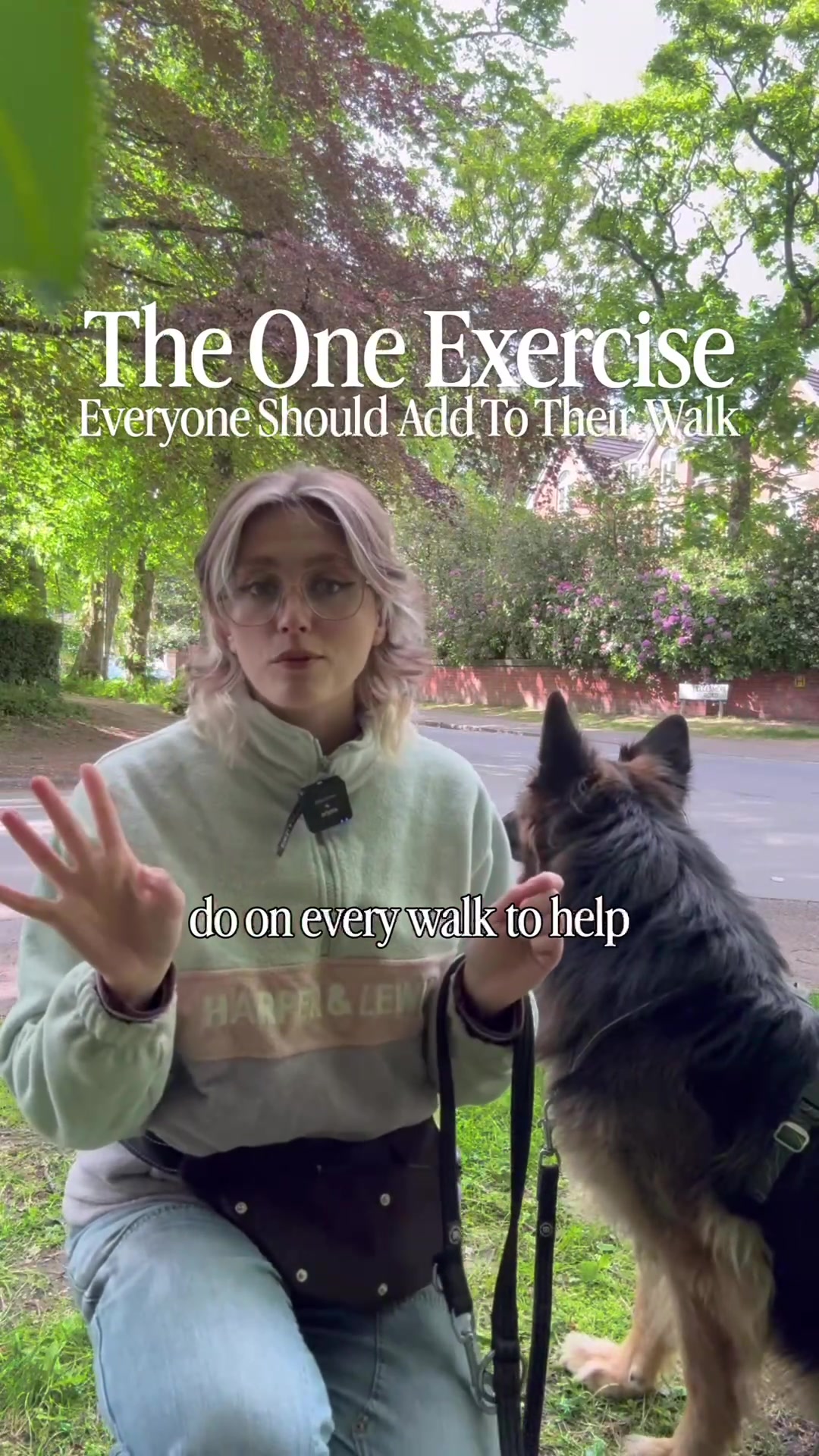 @Amelia the Dog Trainer