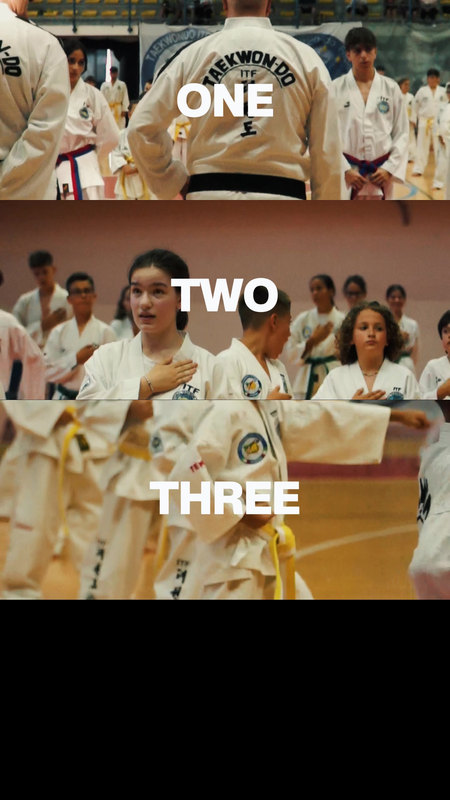@Masters Lanotte Taekwon-Do