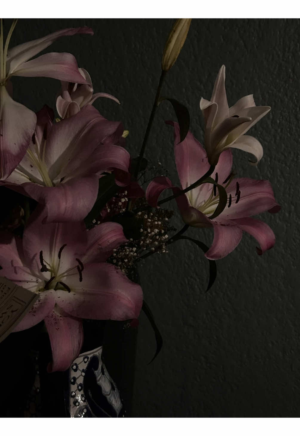 @/ᐠ - ˕ -マ Ⳋ