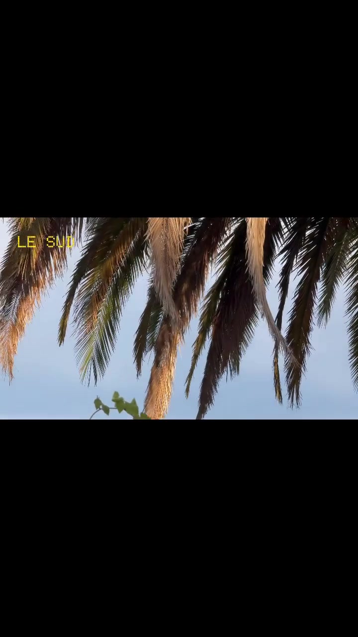@B E N J I C A T