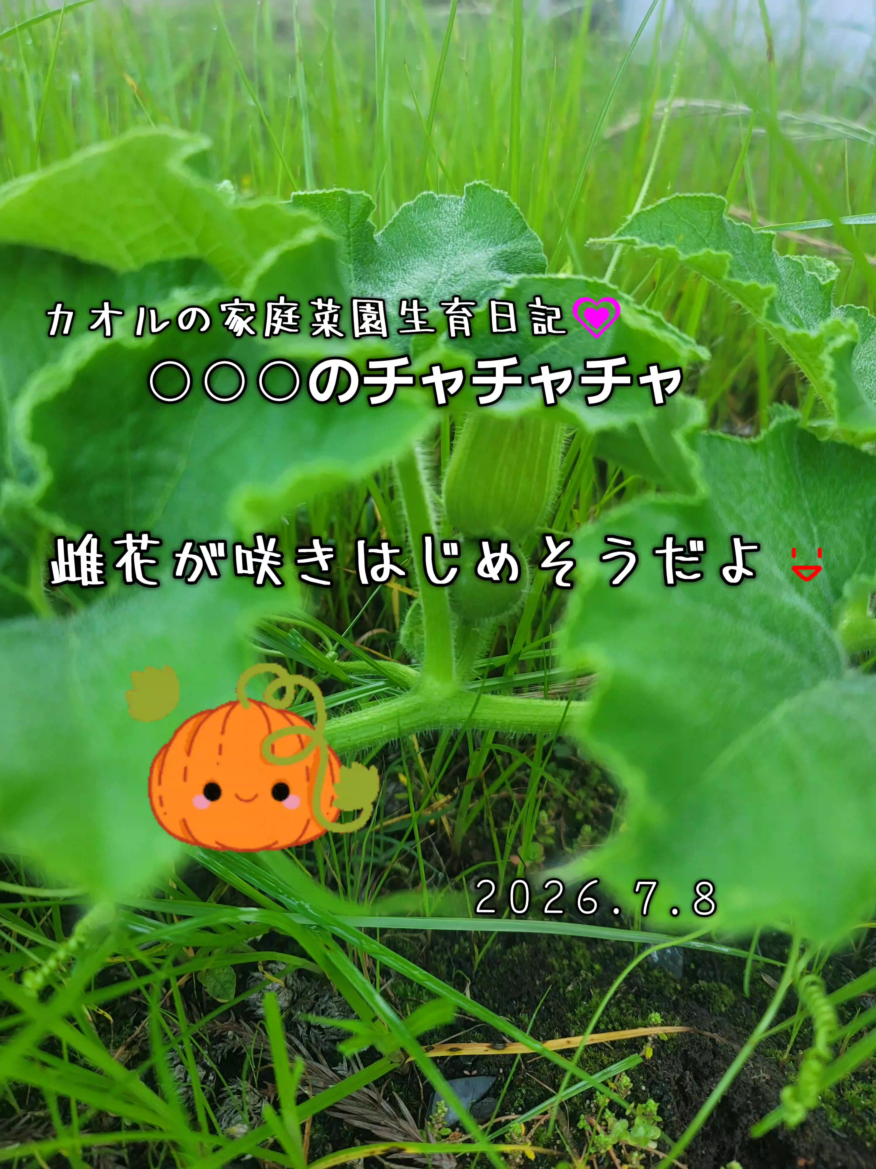 @cjカオル