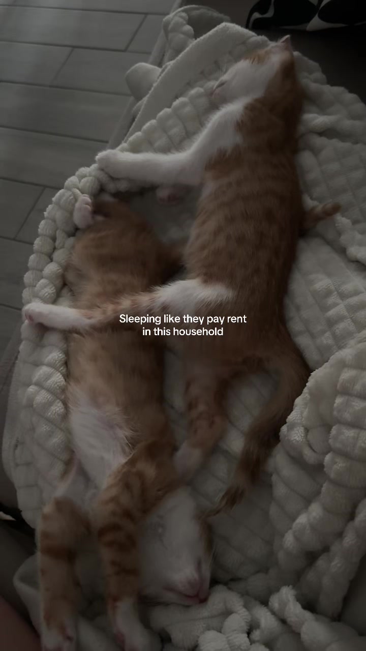 @𝒜𝓁𝑒𝓈𝓈𝒾𝒶
