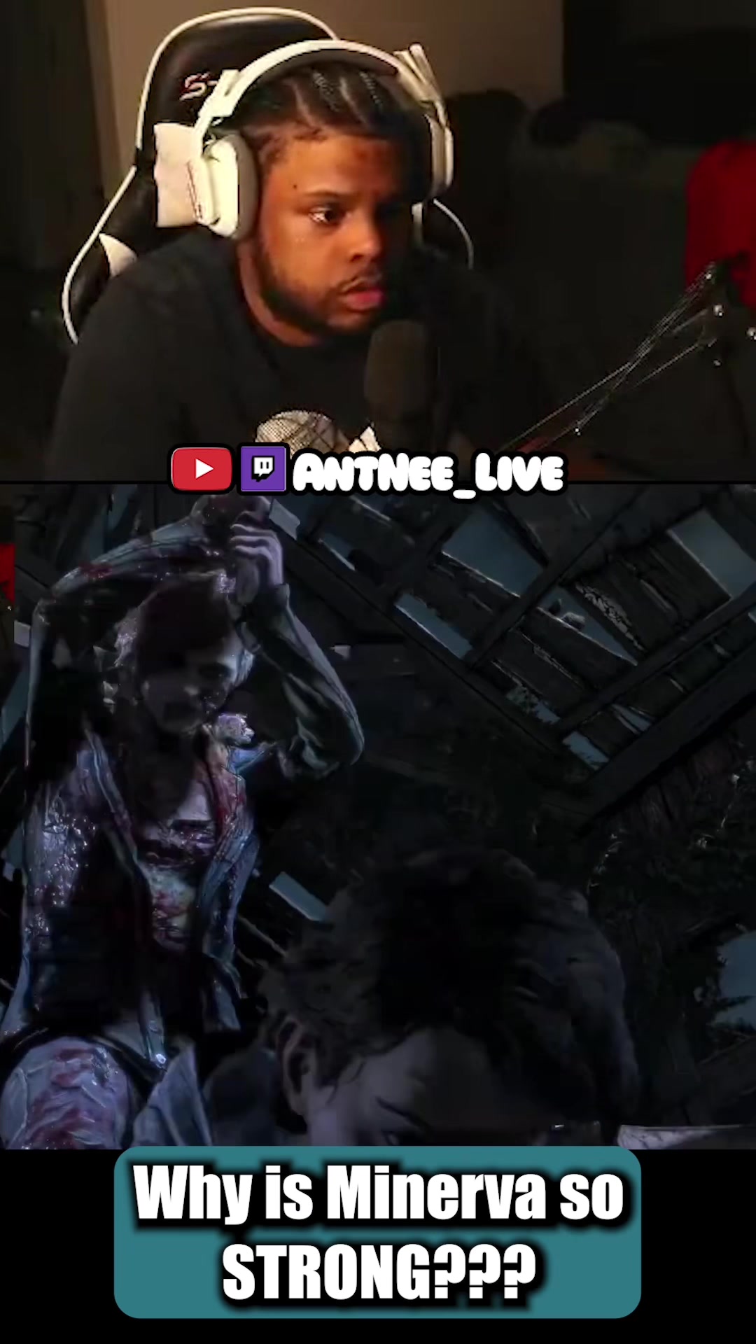 @AntNee Live