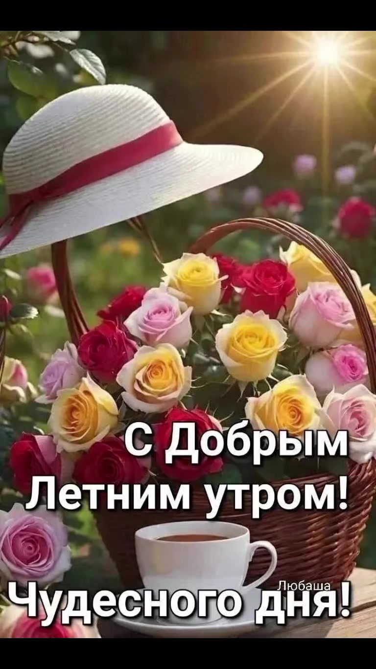 @Деревенская бабушка