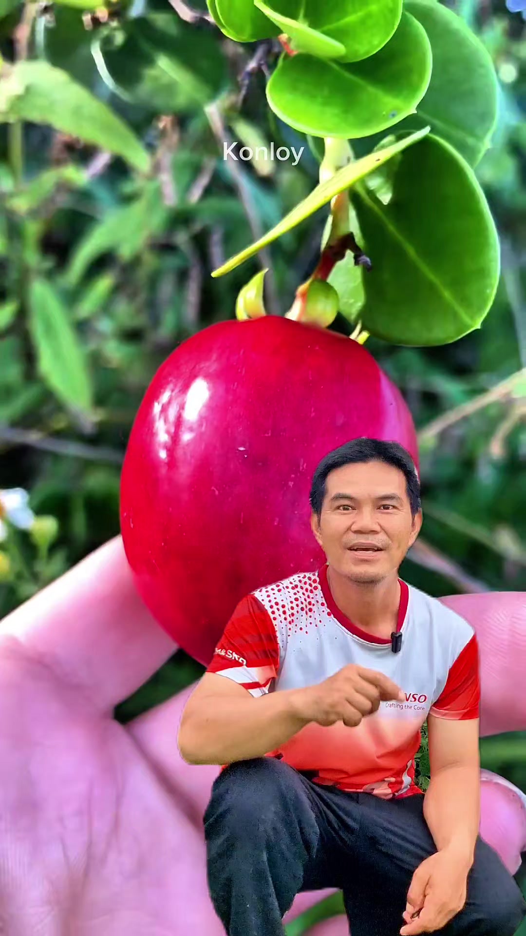 @Konloy