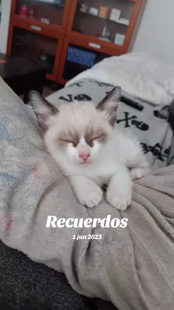 @Jose & Saul mi Bebe❤✅️