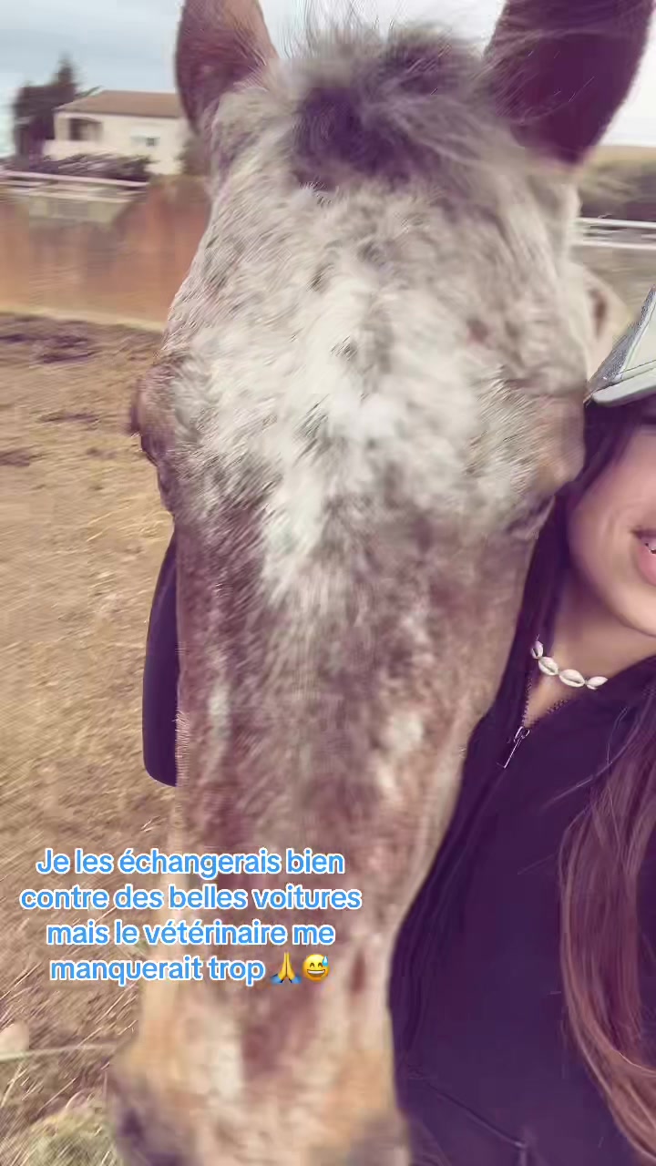 @wapijess