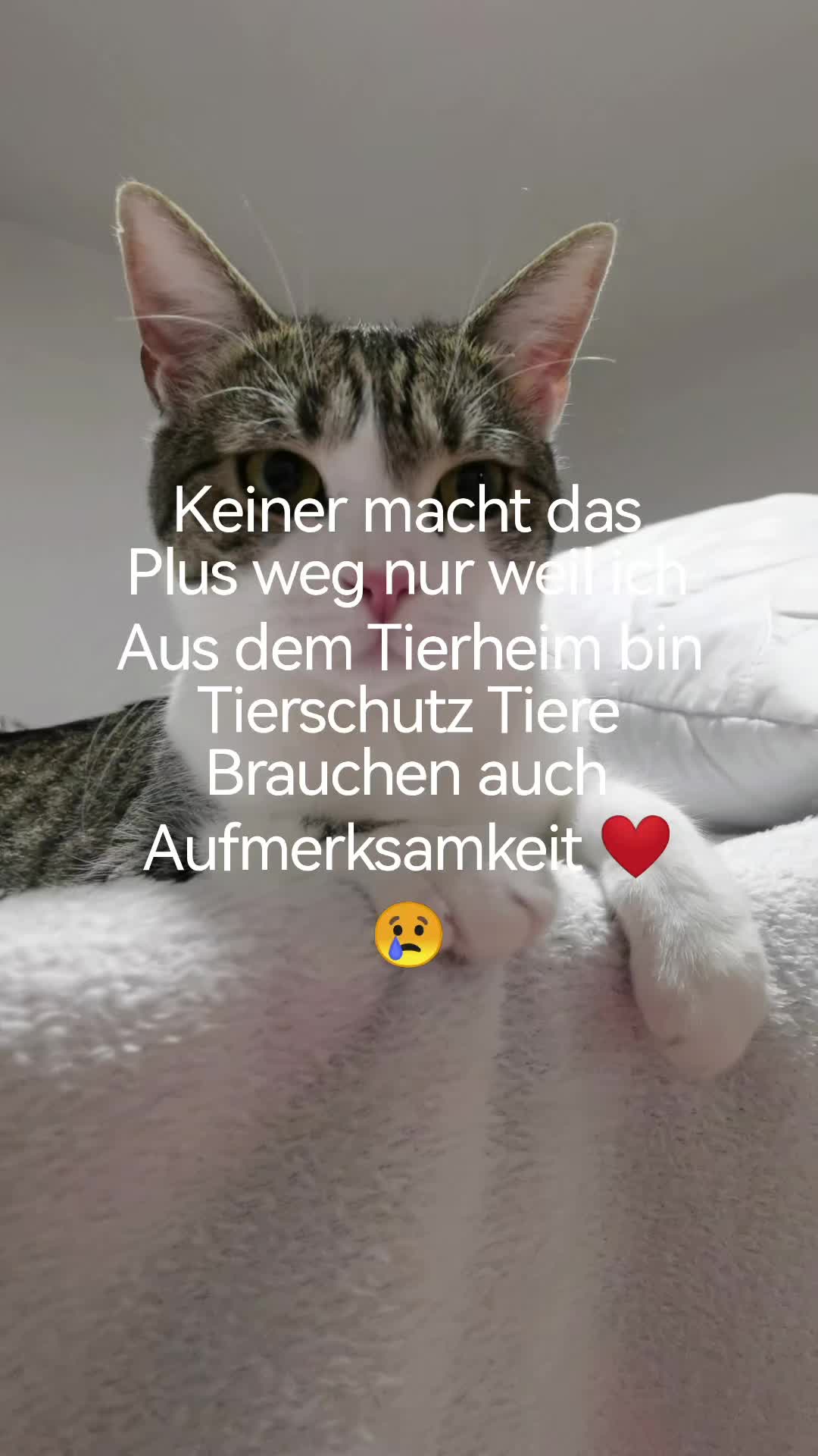 @juli🇩🇪🇺🇸🇷🇺