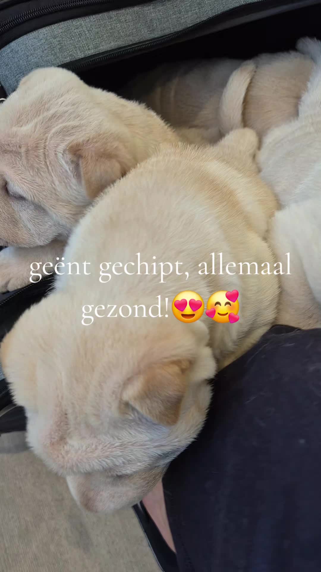 @Wendy Aarts