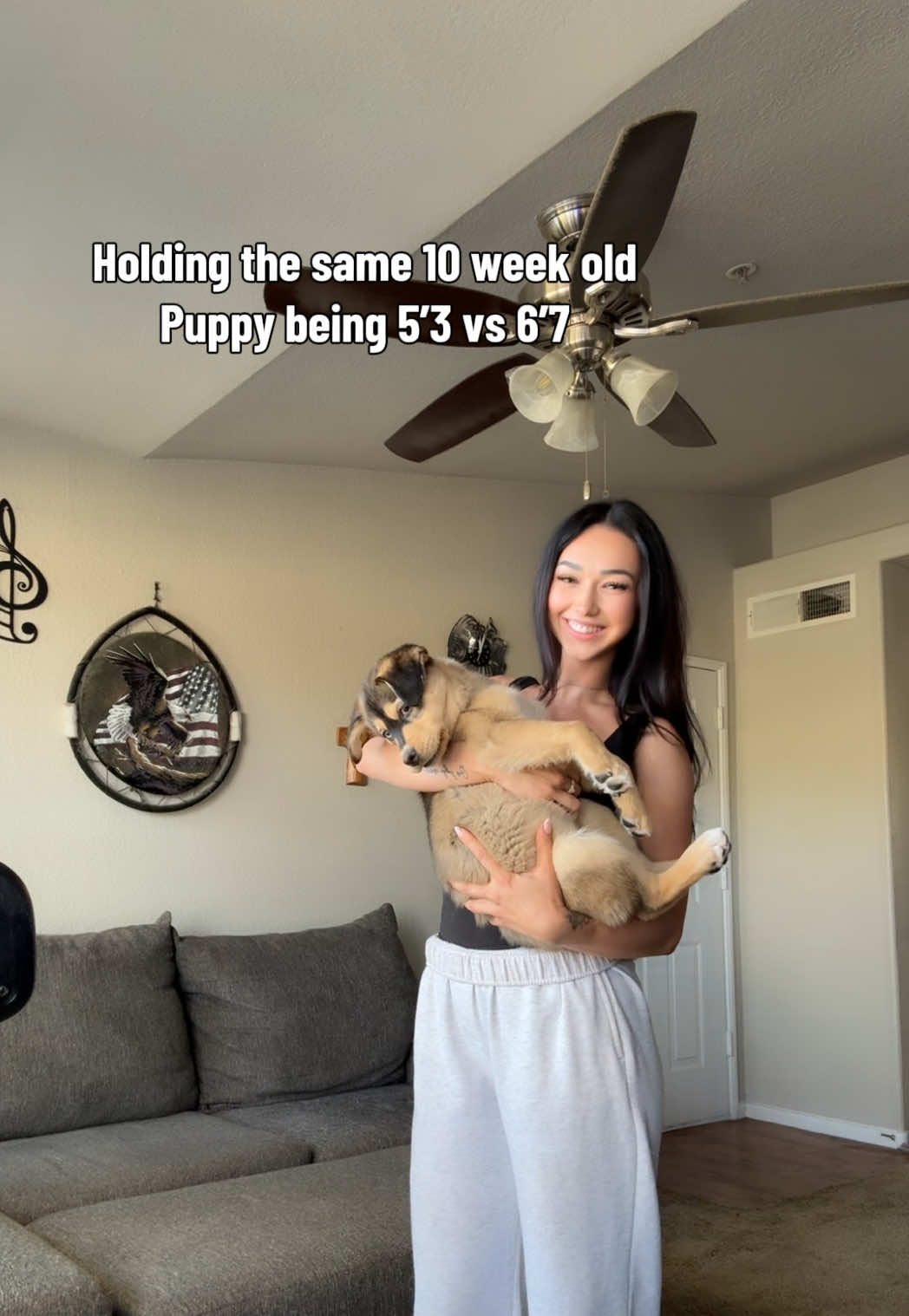 @Stephh