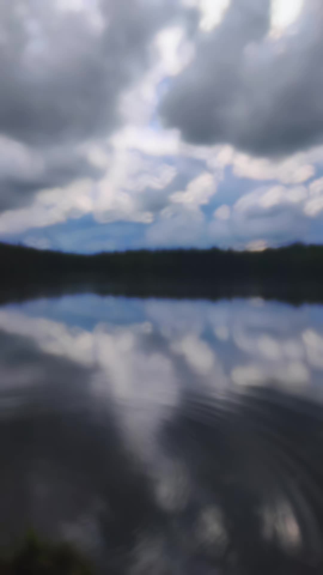 @•Фёкла́•𝓕ё𝓀𝓁𝒶