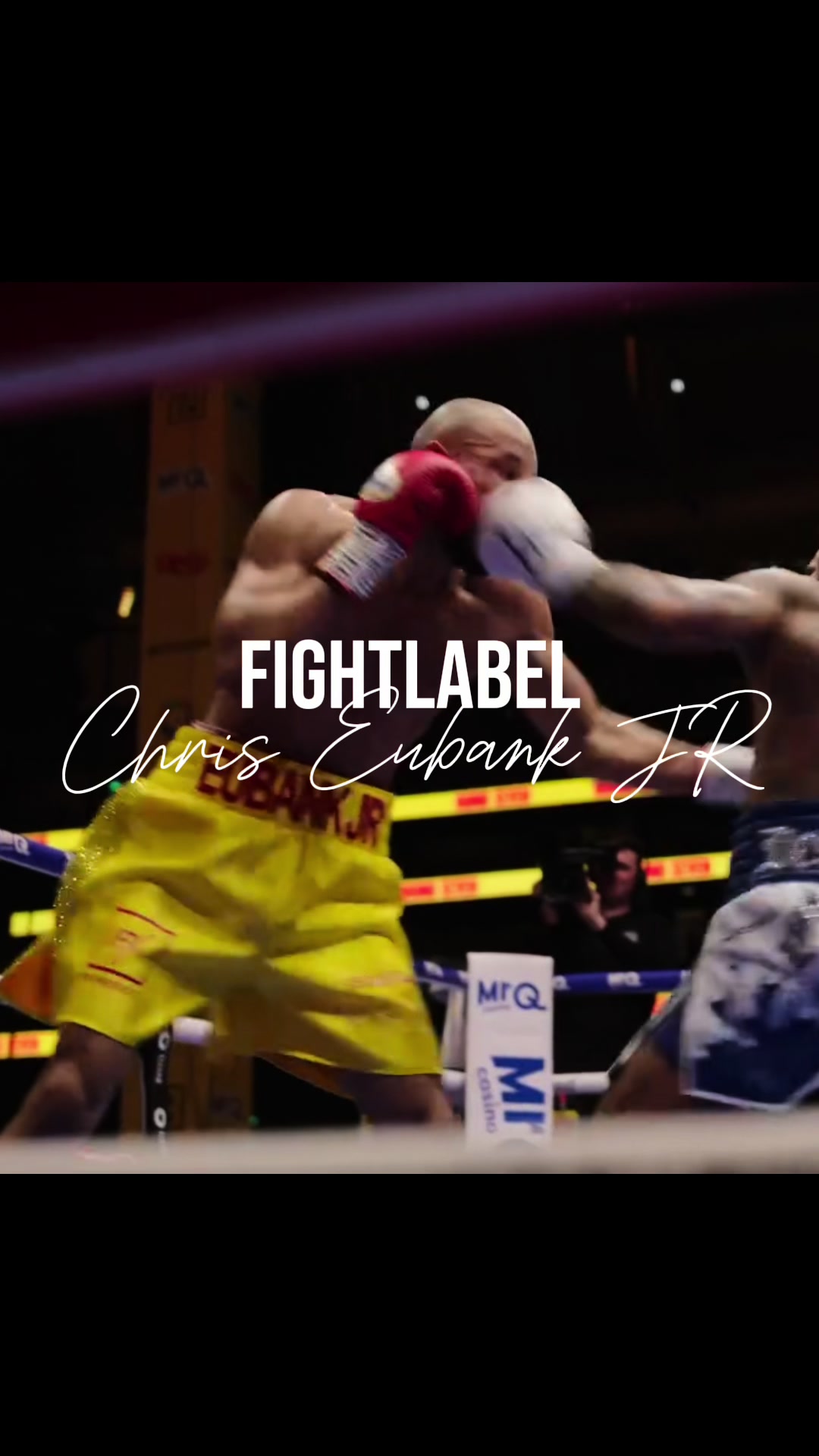 @FIGHTLABEL