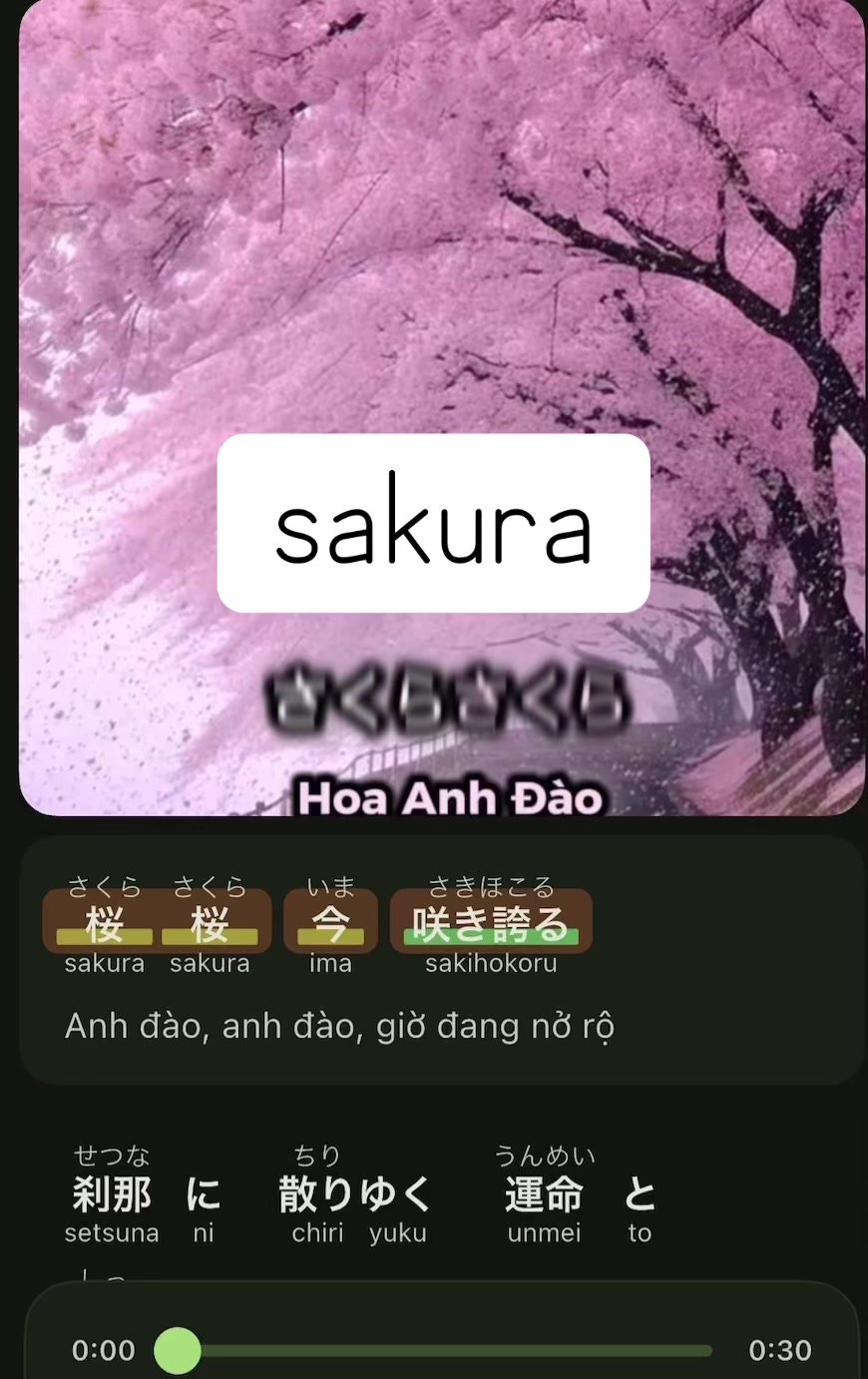 @Viên Chibi 🇯🇵🇻🇳