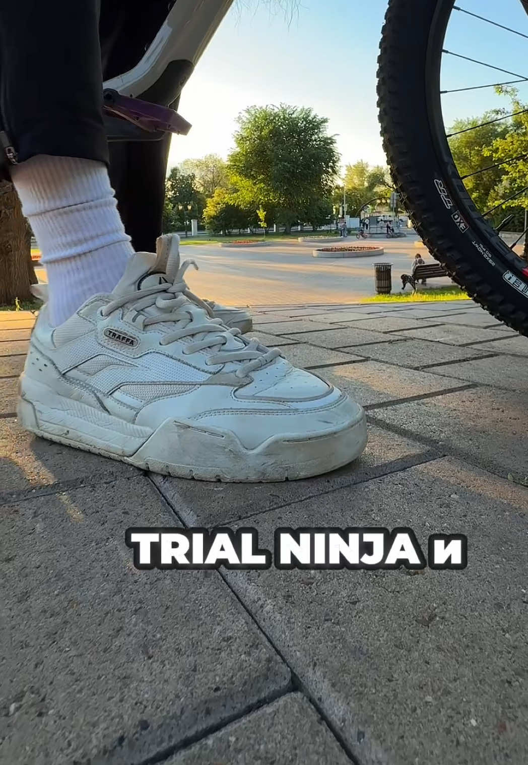 @TRIAL NINJA